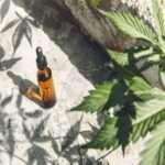 soins terre et cheveux