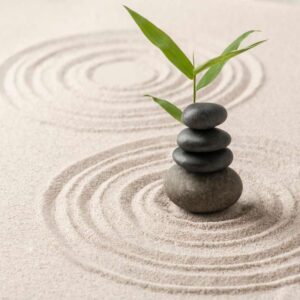 Détox consciente - Processus holistique