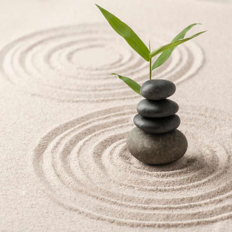 Détox consciente - Processus holistique