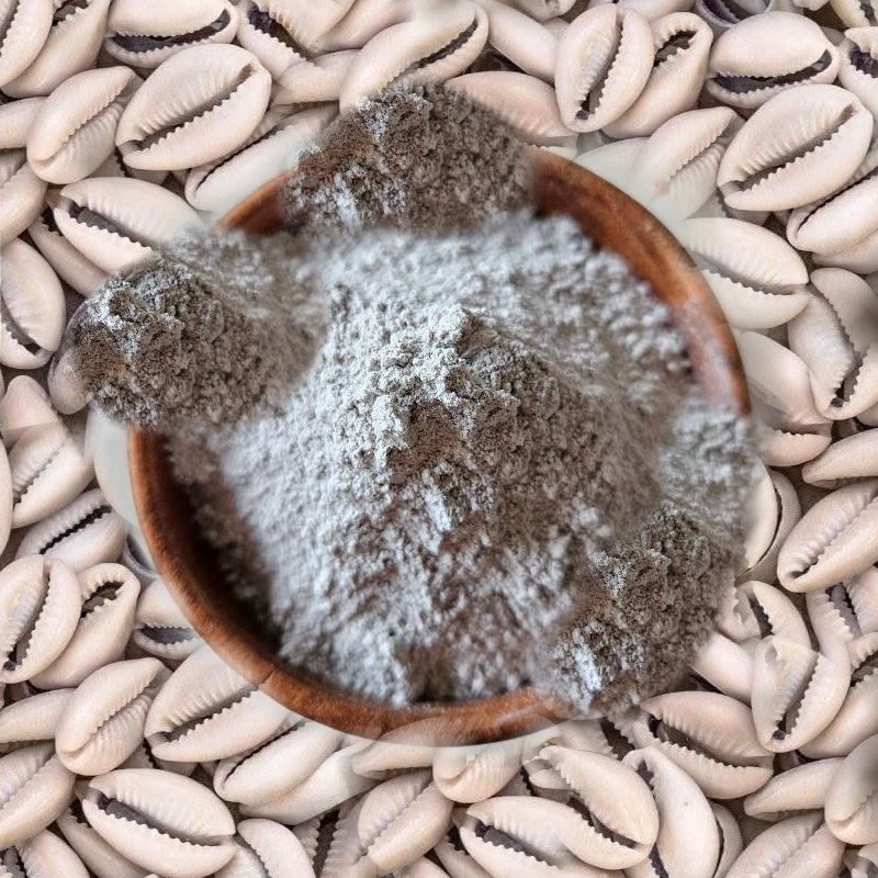 coquillage cauris poudre