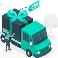 camion livraison gratuite