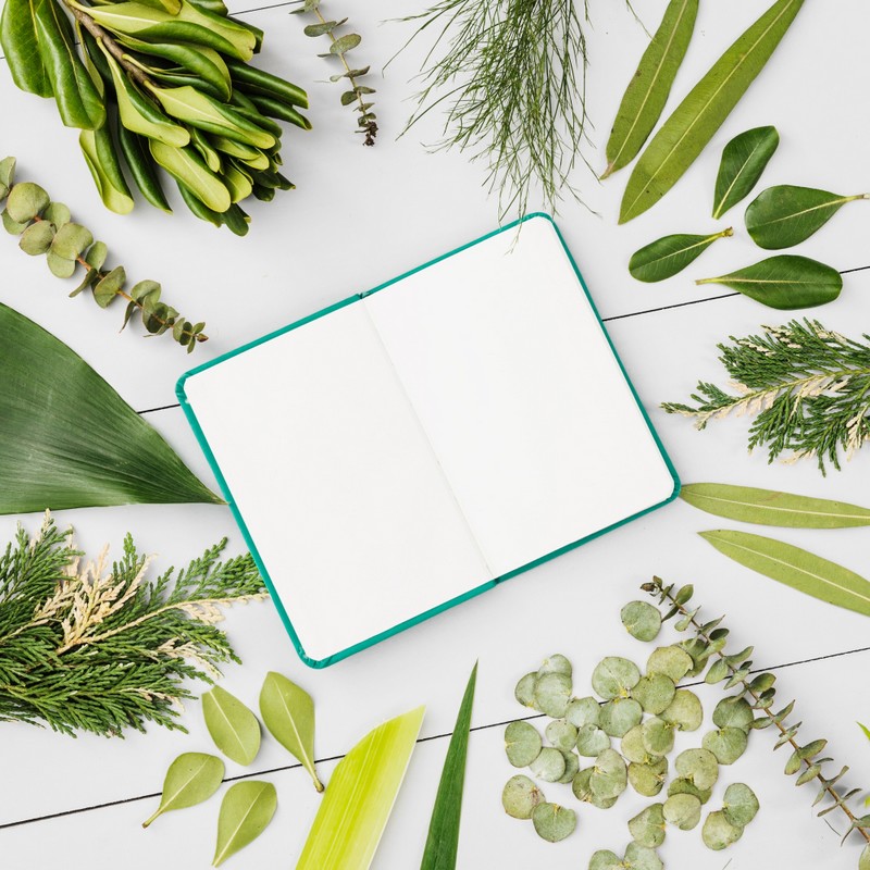 Produits Naturels pour Maigrir - plantes
