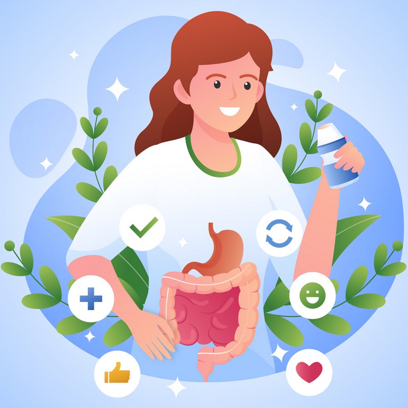digestion saine